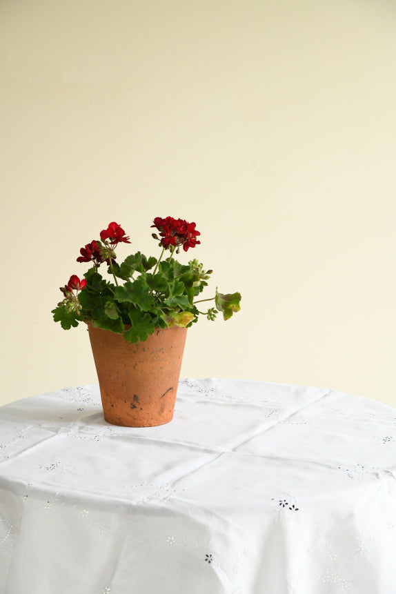 Vintage White Cotton Tablecloth