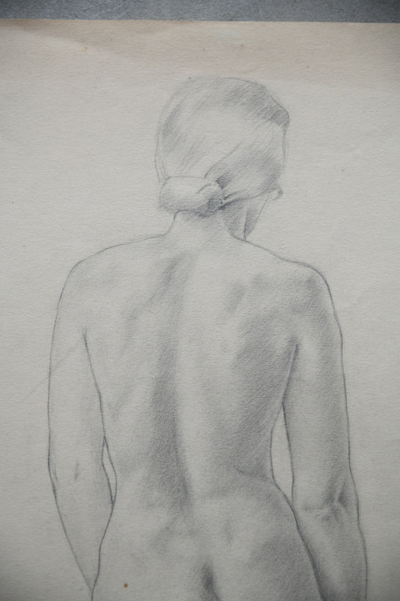 Standing Female Nude Drawing