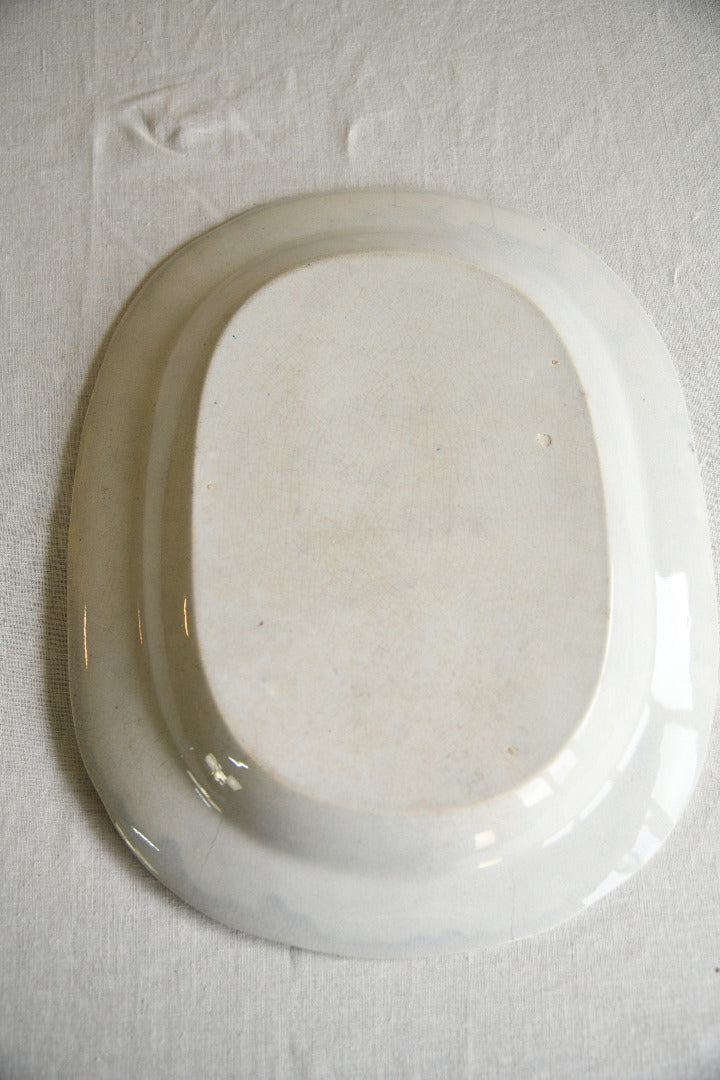 19th Century Blue and White Transferware Meat Platter
