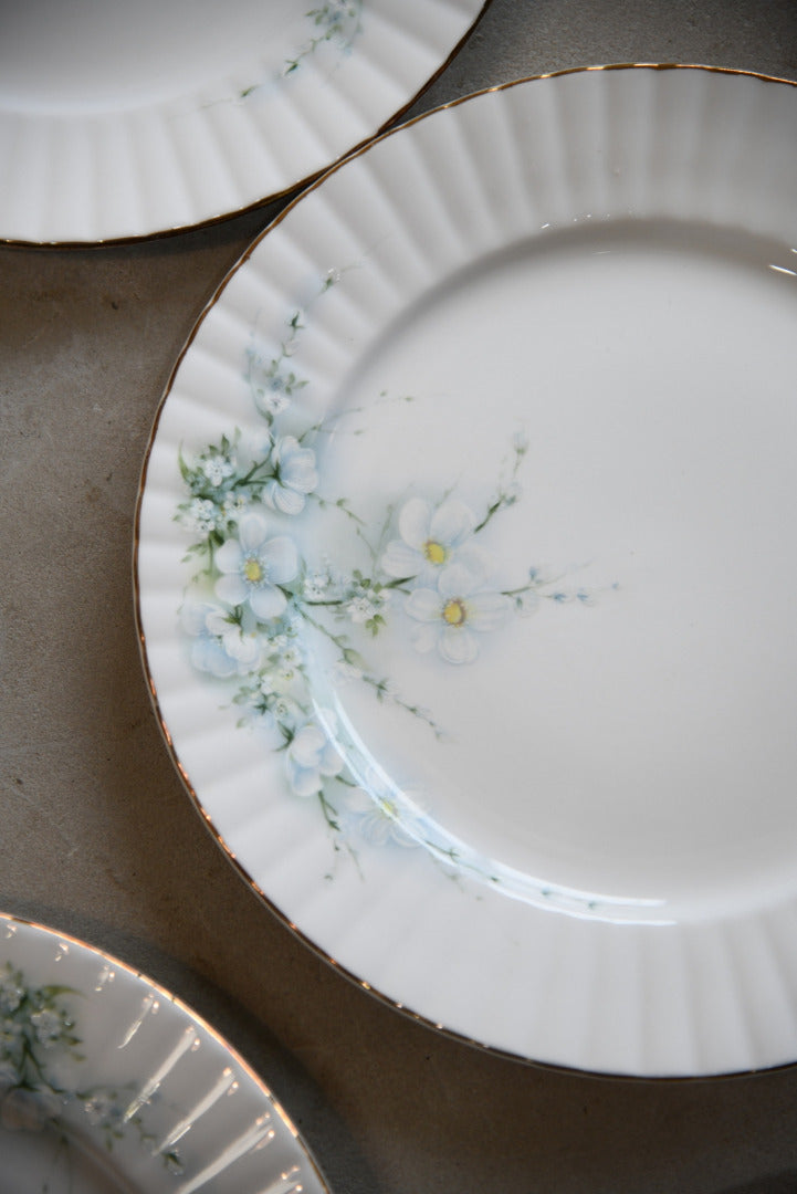 8 Royal Stafford Blossom China Dinner Plates