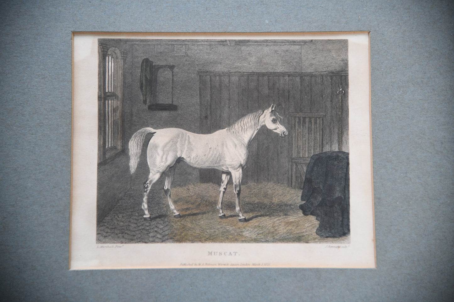 Pair Antique Race Horse Engravings