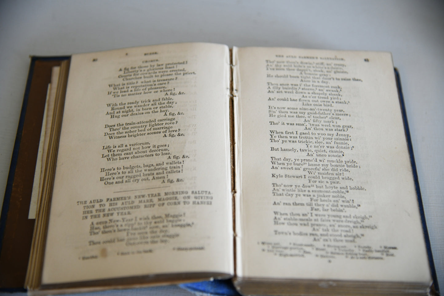 The Poetical Works of Robert Burns