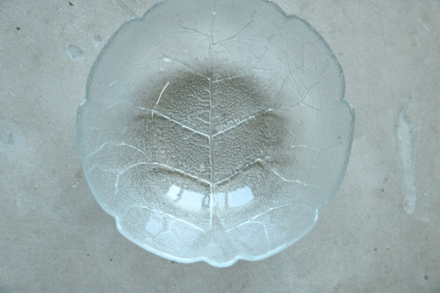 Glass Serving Ware Glass Leaf Salad Bowl and Divided Plate