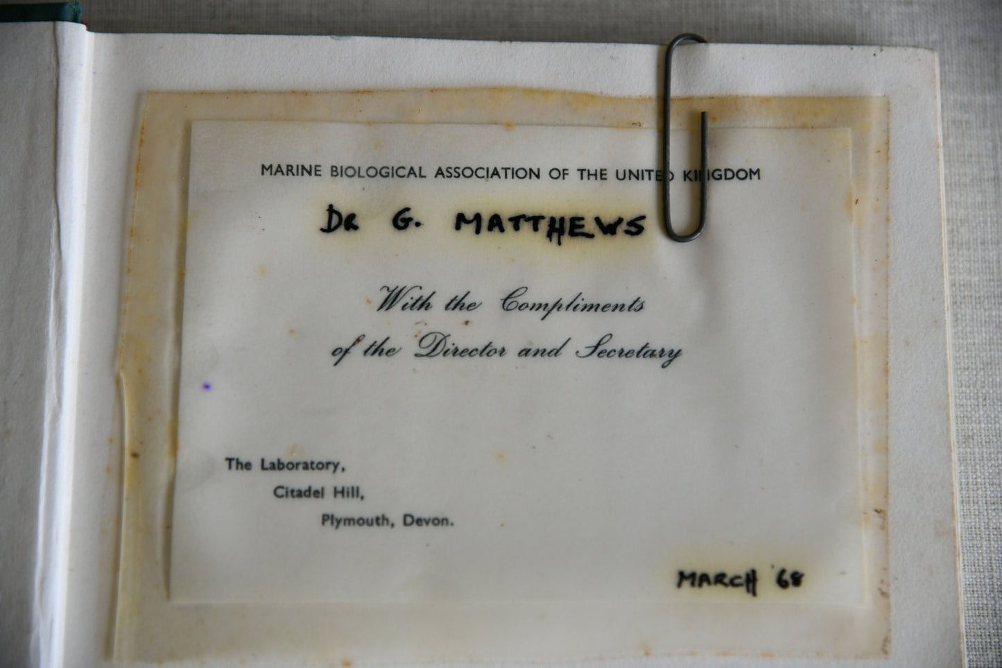 Torrey Canyon - Pollution & Marine Life