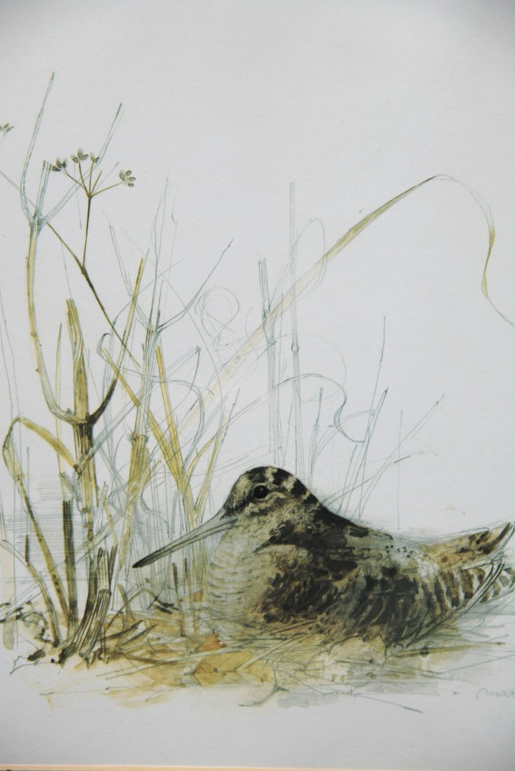 Pair Mads Stage Prints