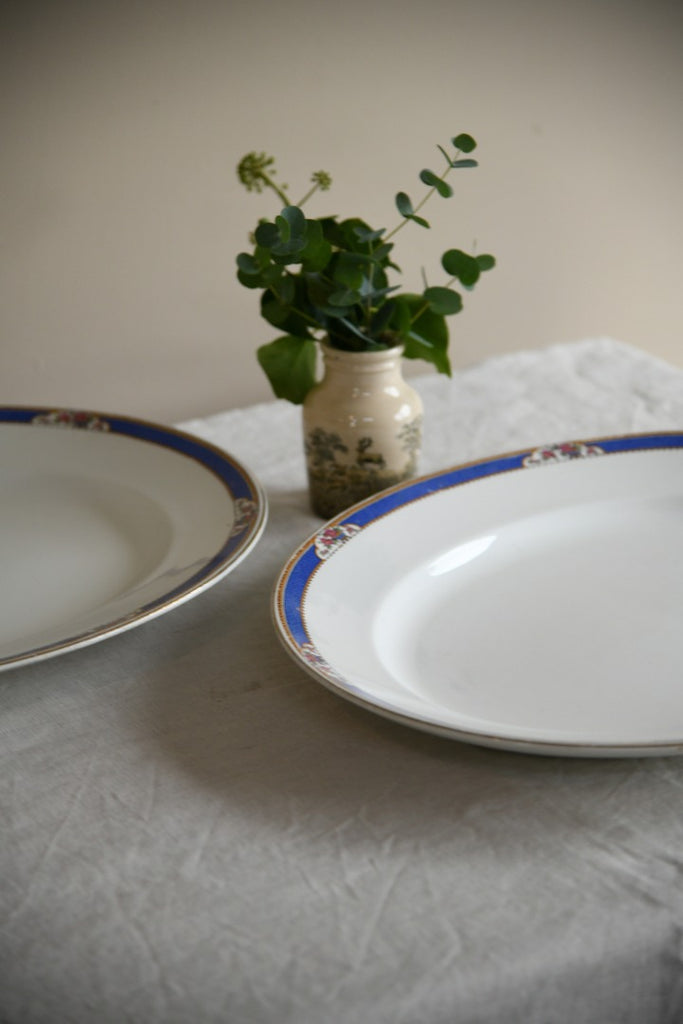 Pair Imperial Porcelain Oval Meat Plate