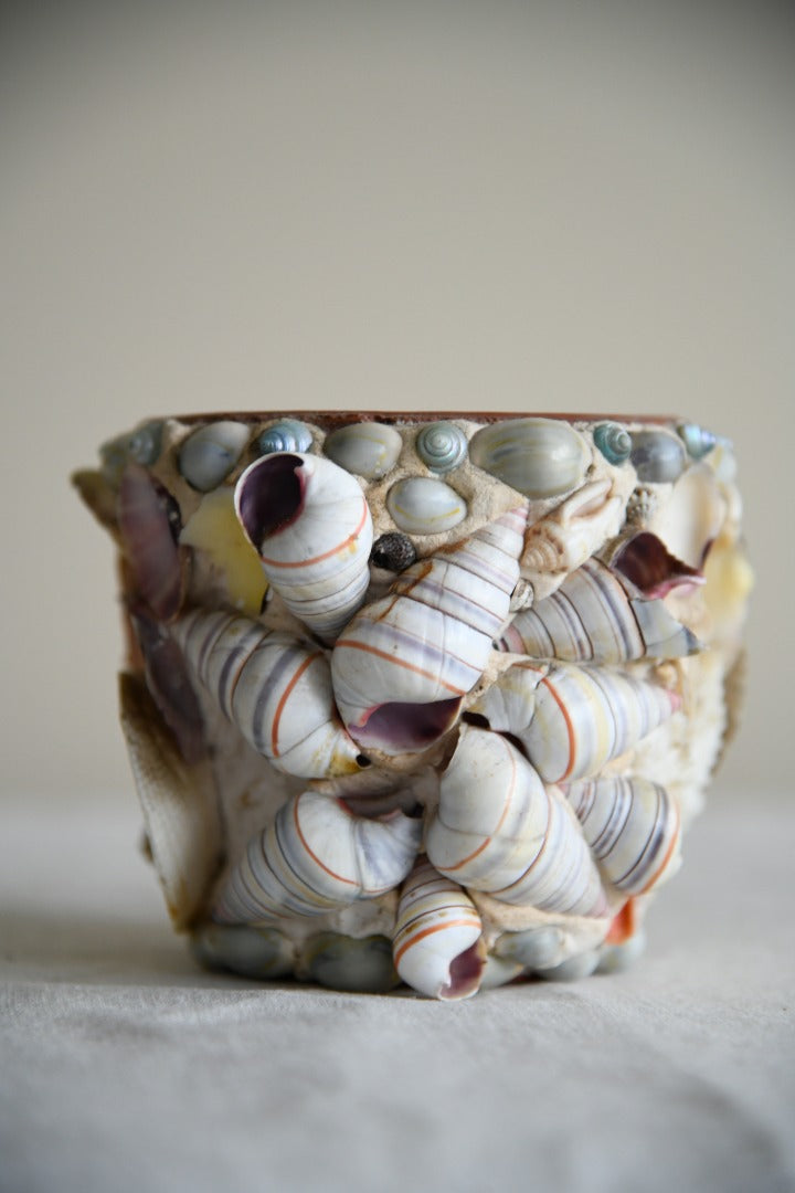kitsch plant pot Kitsch Shell Plant Pot – Kernow Furniture