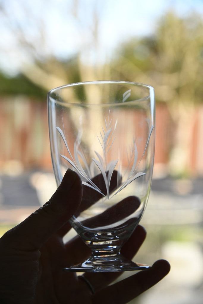 Vintage Etched Glass Water Jug & Glasses