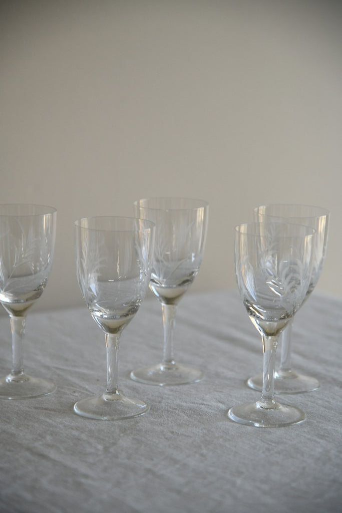 6 Etched Licquer Glasses