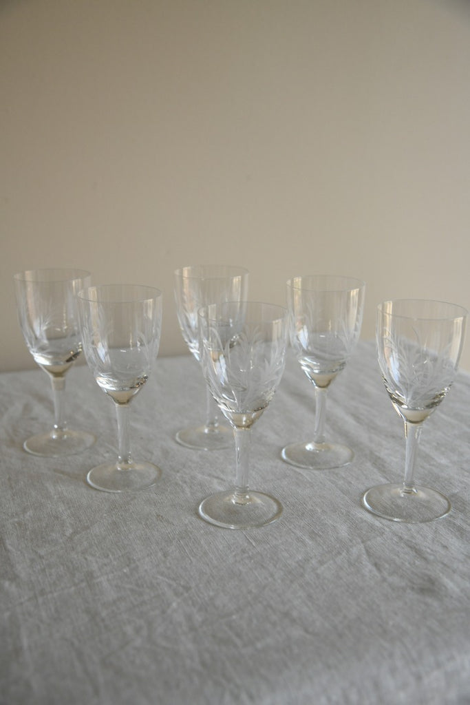 6 Etched Licquer Glasses