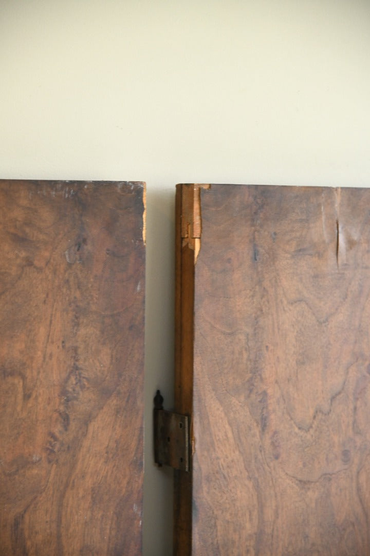 Pair of Antique Italian Doors