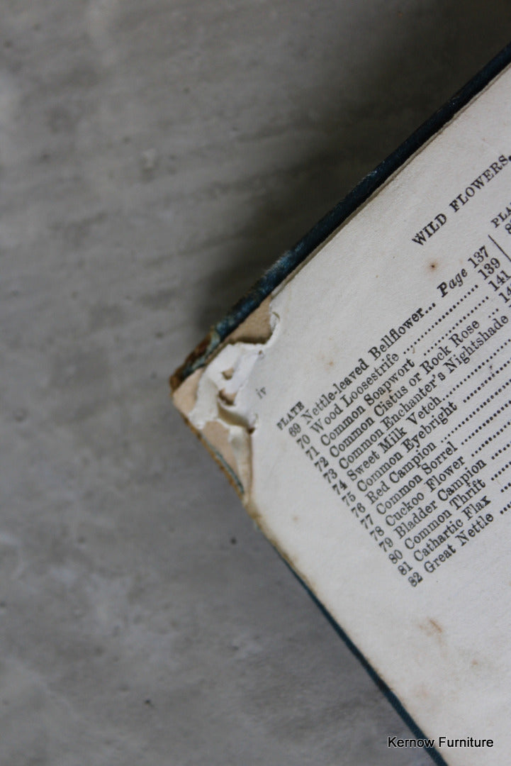 Wild Flowers Vintage Book - Kernow Furniture