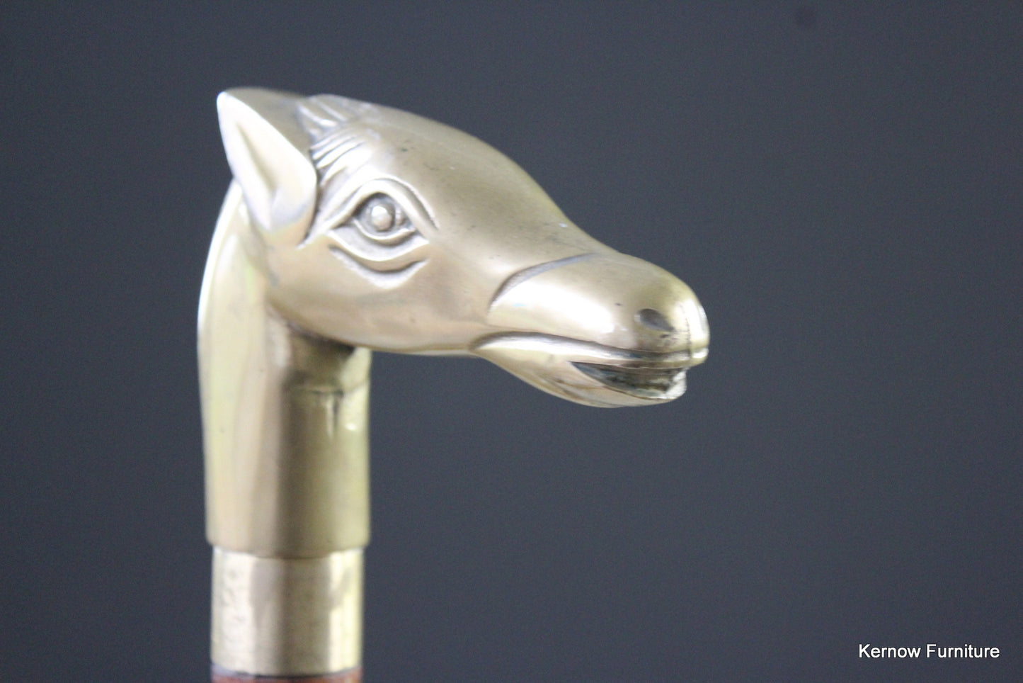 Brass Horse Head Walking Cane - Kernow Furniture
