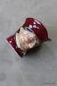Royal Doulton The Cardinal Character Jug