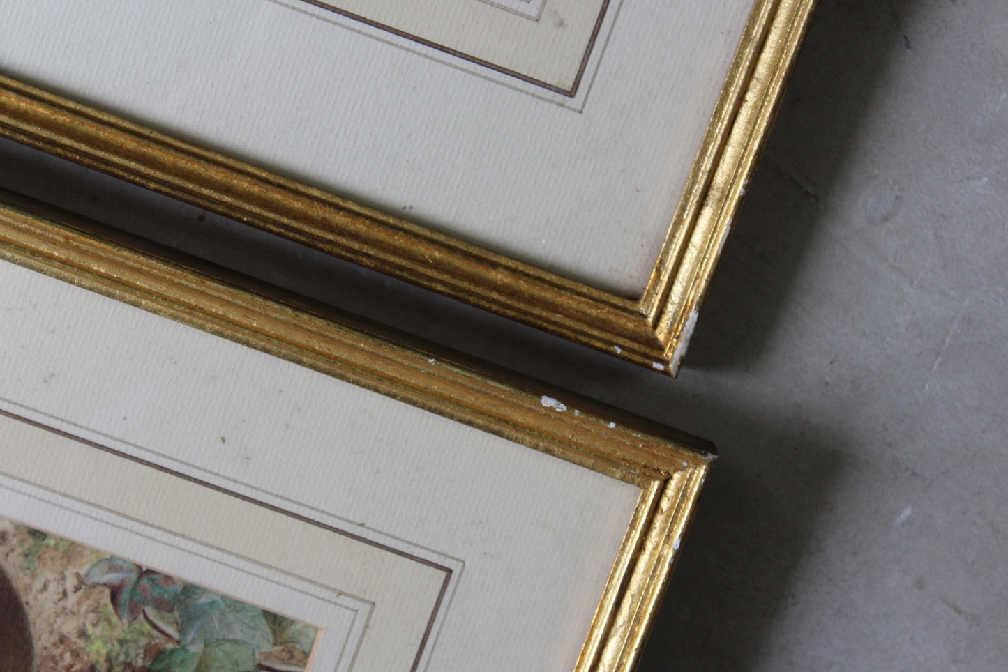 Pair Watercolour Still Life Paintings - Kernow Furniture