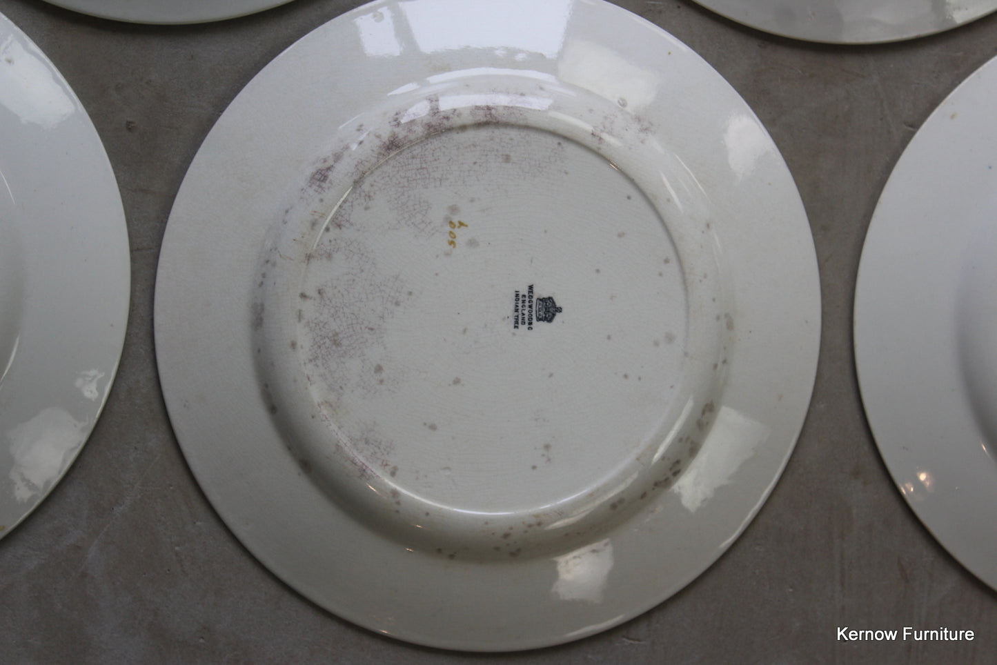 6 Wedgwood Indian Tree Dinner Plate - Kernow Furniture