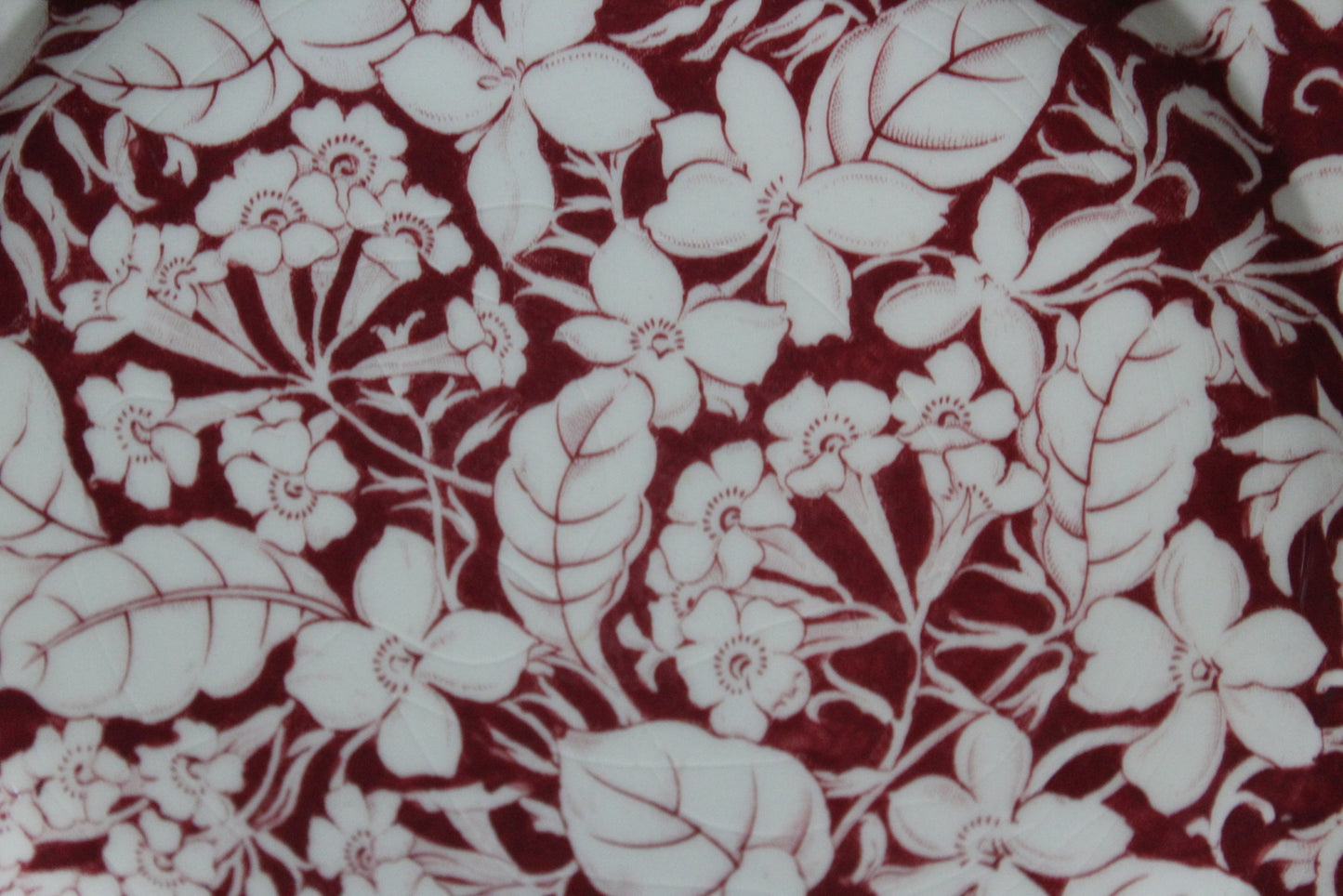 Royal Winton Grimwades Spring Glory Square Plates - Kernow Furniture