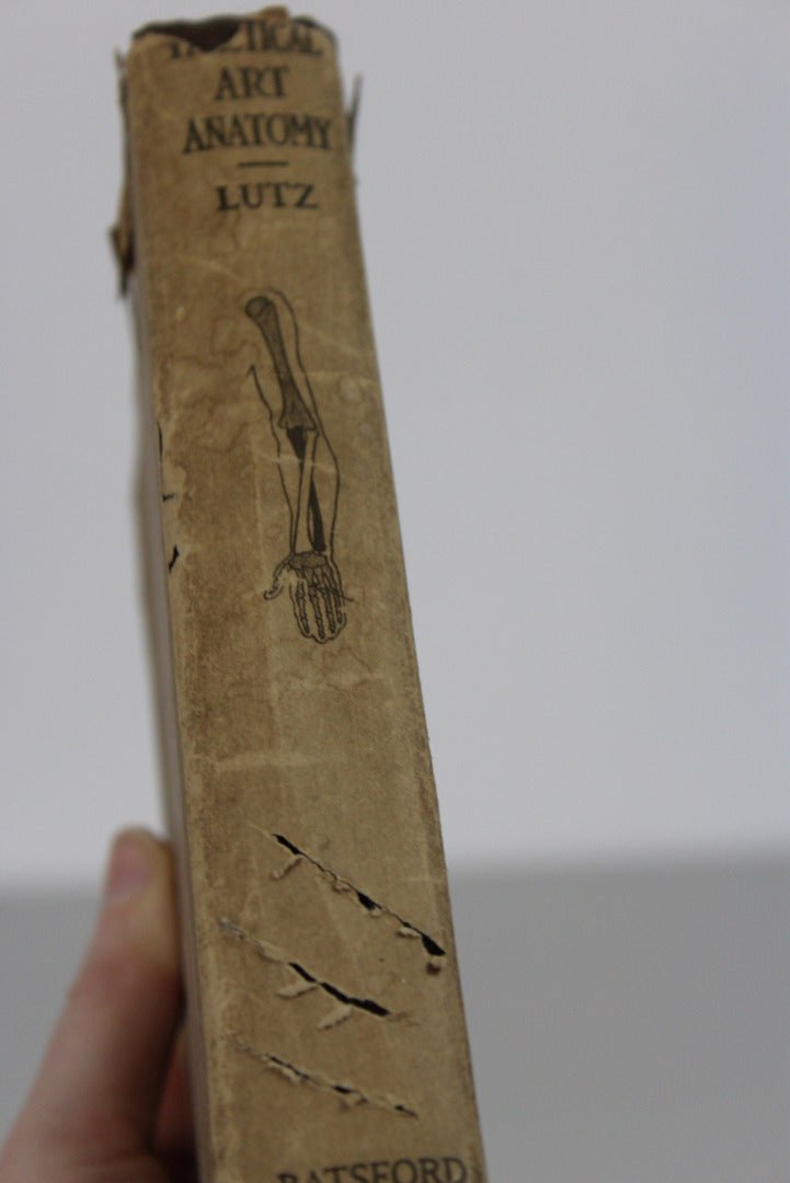 Practical Art Anatomy E G Lutz - Kernow Furniture
