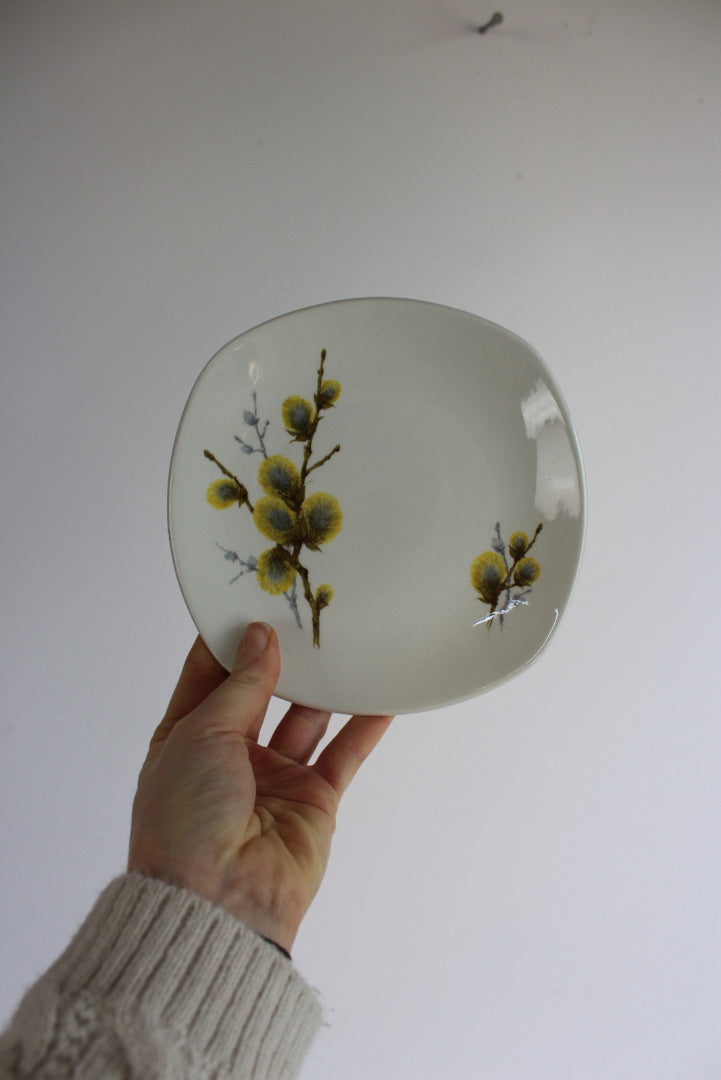 Retro Midwinter Pussy Willow Plates - Kernow Furniture