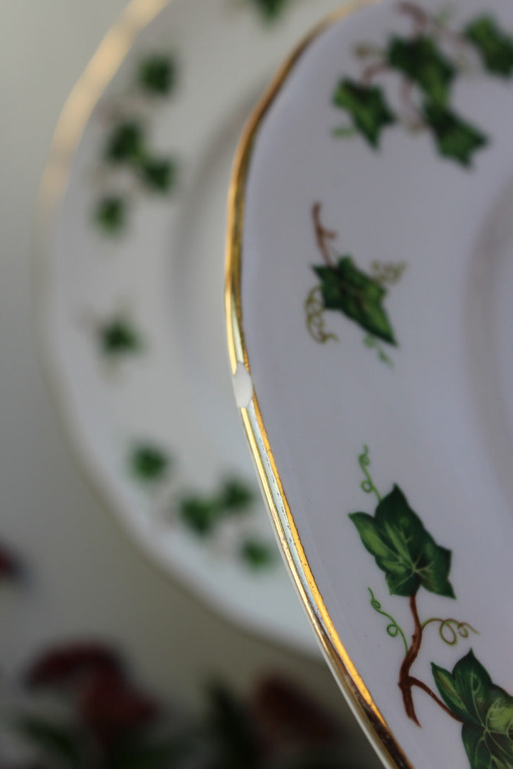 Vintage Colclough Ivy Dinner Plate - Kernow Furniture