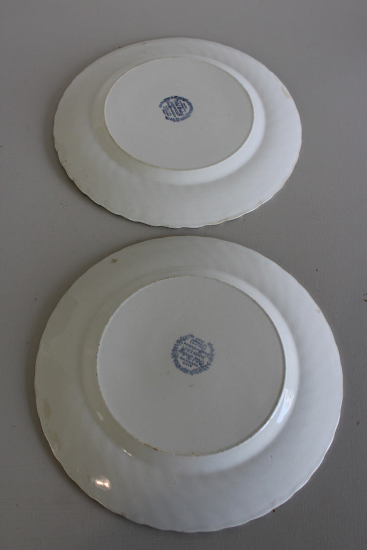 Pair James Kent Old Foley Blue White Plates - Kernow Furniture