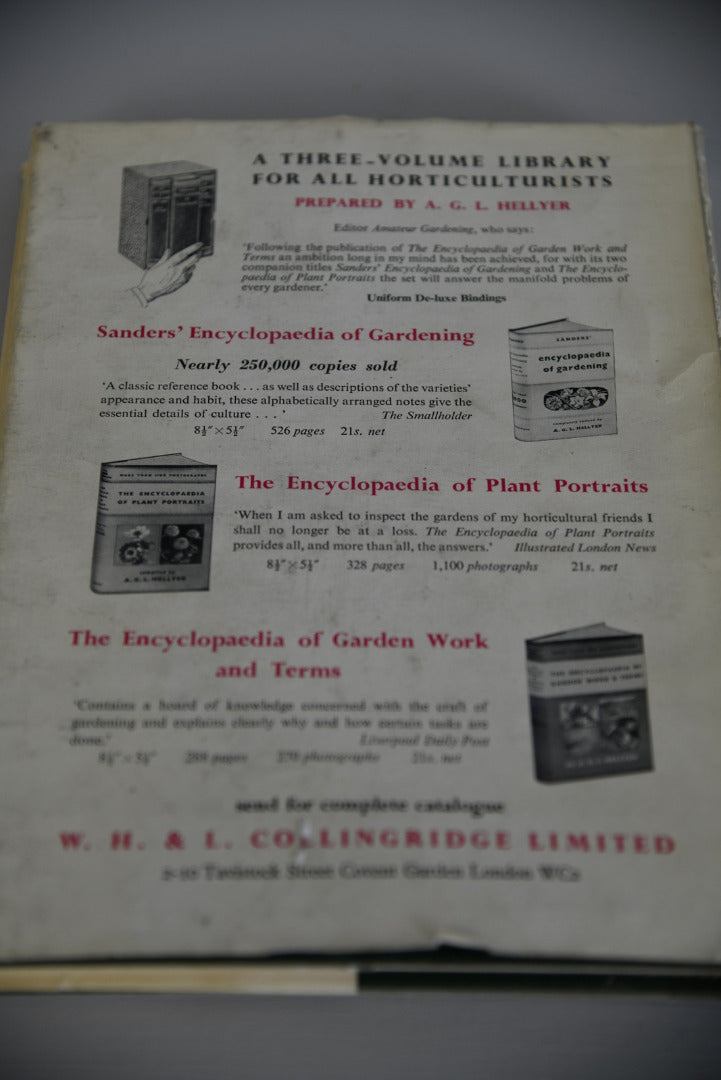 Flowers In Colour AGL Hellyer - Kernow Furniture