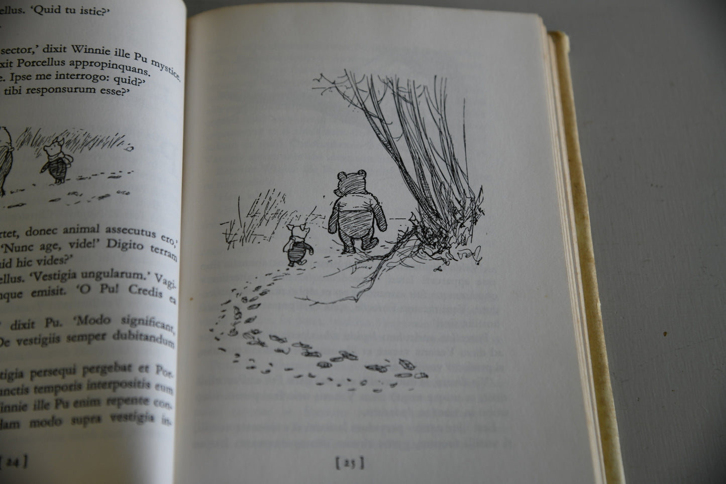 Winnie Ille Pu - Kernow Furniture