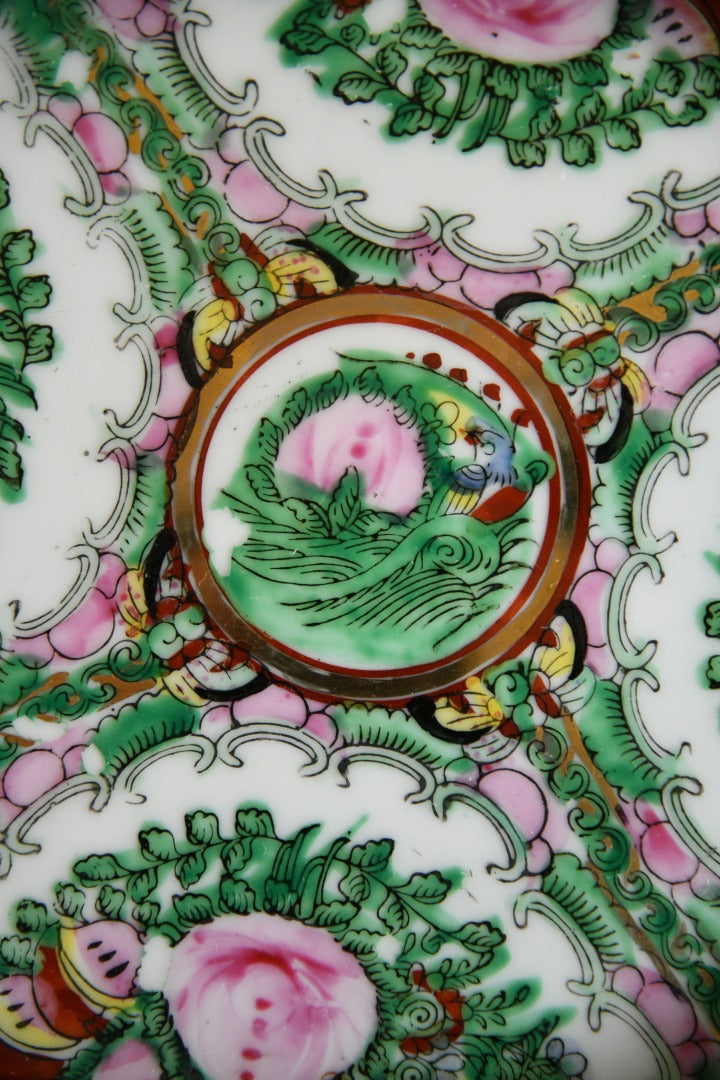 Famille Rose Medallion Plate