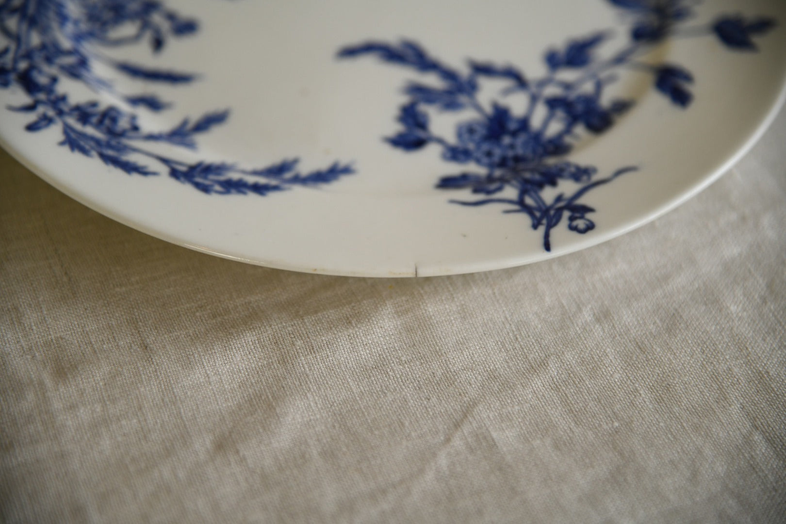 Blue and White Plates