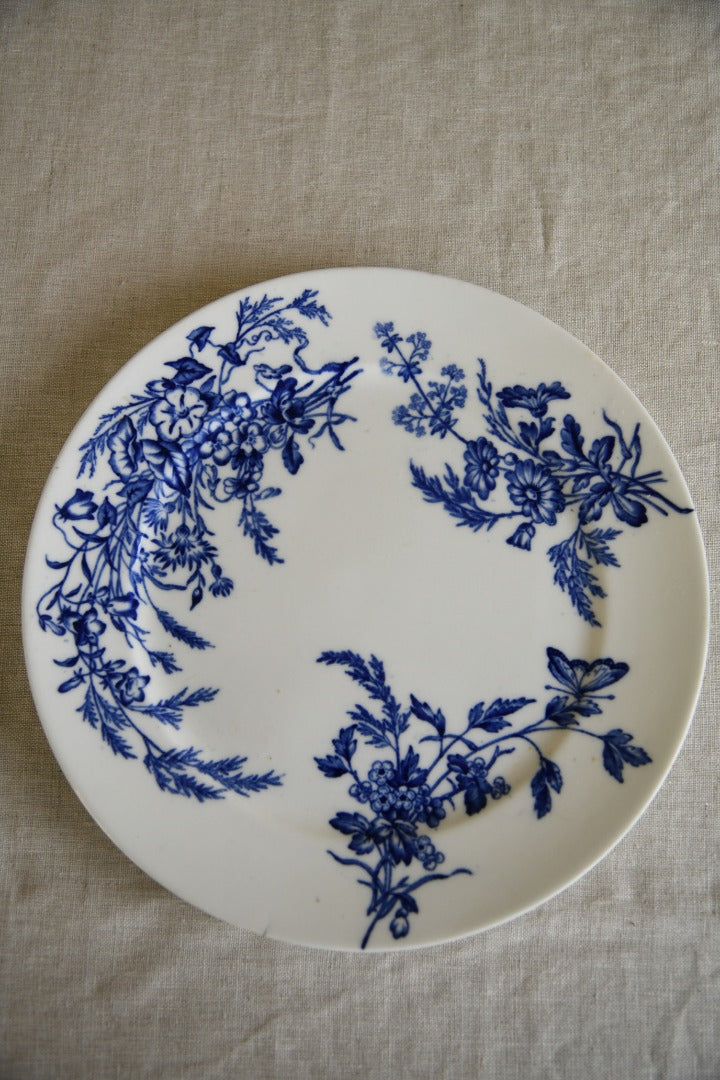 Blue and White Plates