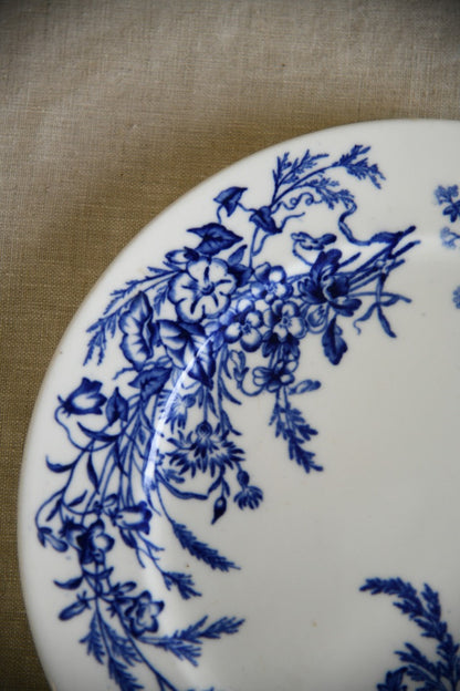 Blue and White Plates