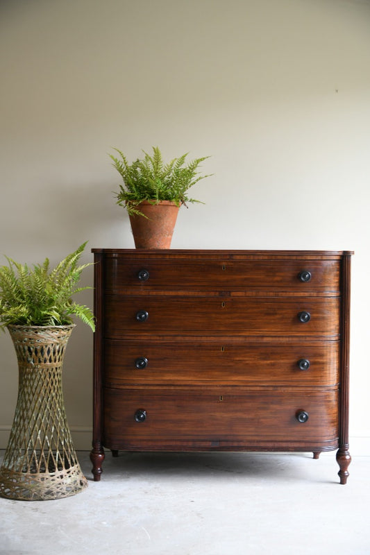 Georgian Mahogany Chest of Drawers