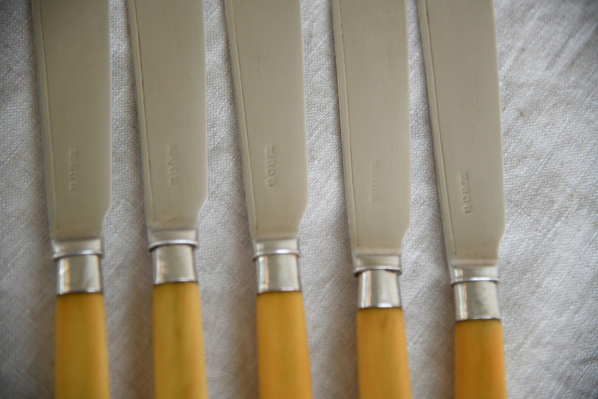 5 Vintage Faux Bone Fish Knives