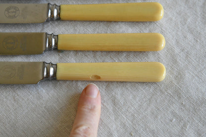 6 Vintage Butter Knives