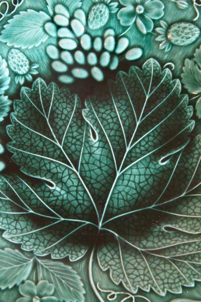 Single Green Majolica Vine Leaf Plate