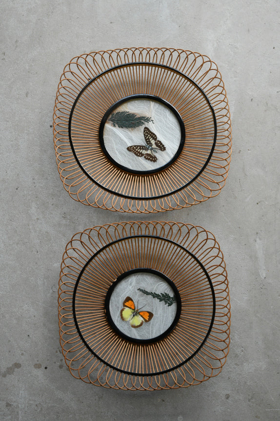 Pair Vintage Butterfly Trays