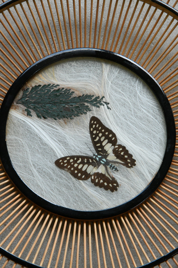 Pair Vintage Butterfly Trays