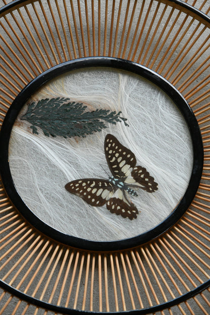 Pair Vintage Butterfly Trays