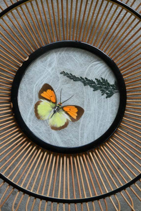 Pair Vintage Butterfly Trays