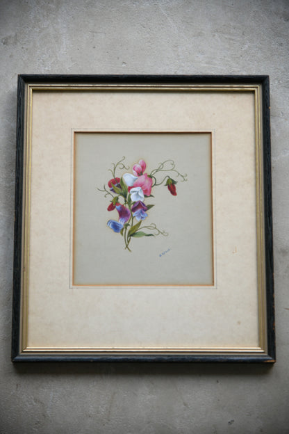 Botanical Study Watercolour - C Wood