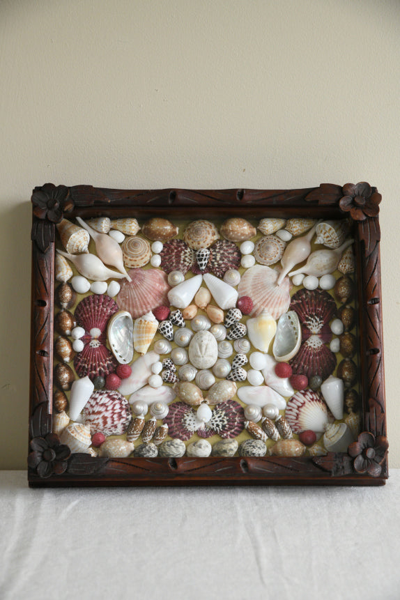 Vintage Glazed Case of Shells