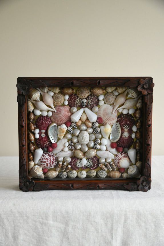 Vintage Glazed Case of Shells