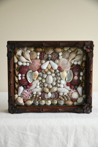 Vintage Glazed Case of Shells