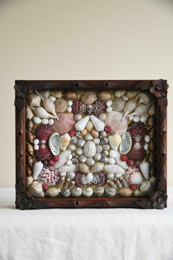 Vintage Glazed Case of Shells