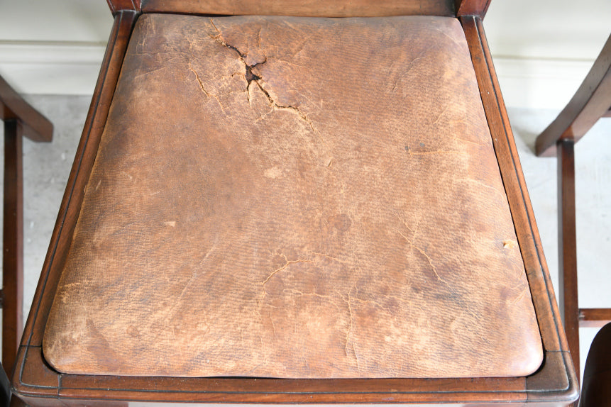 Set 6 Georgian Style Mahogany Dining Chairs