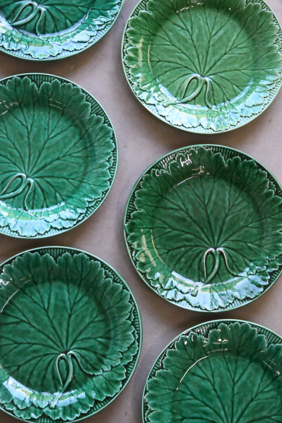 9 Wedgwood Green Leaf Plates