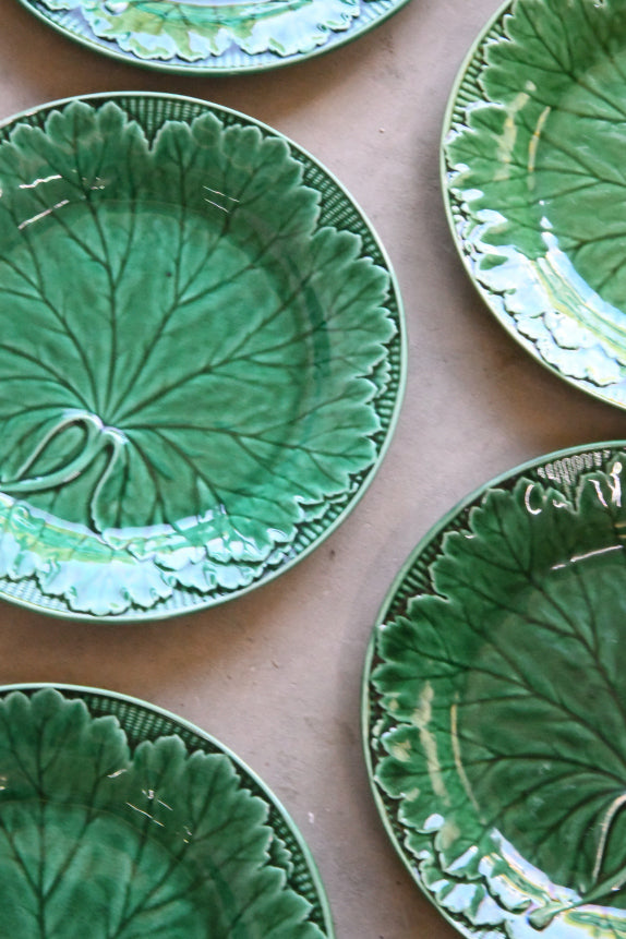 9 Wedgwood Green Leaf Plates