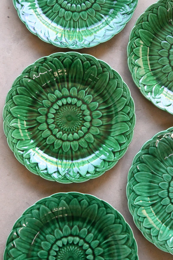 5 Wedgwood Green Sunflower Majolica Plates