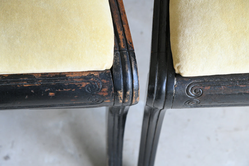 5 Antique Ebonised Dining Chairs