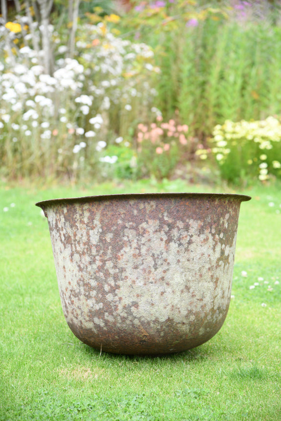 Antique Cast Iron Cauldron Boiler Planter